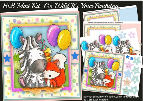 8x8 mini kit , Go Wild its Your Birthday