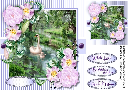 Swans on the River with Lilac Roses 