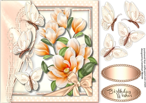 Beautiful Peach Magnilias and Butterflys