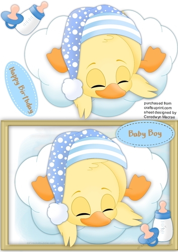Baby Boy Duck asleep on the Clouds
