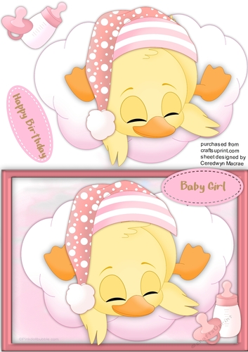 Baby Girl Duck Asleep on the cloud 