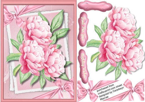 Beautiful Pink Peony  Roses on a Double mat 