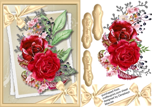 Beautiful Red Roses on a Double mat 
