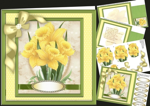8x8 Mini Kit , Beautiful Spring Daffodils 