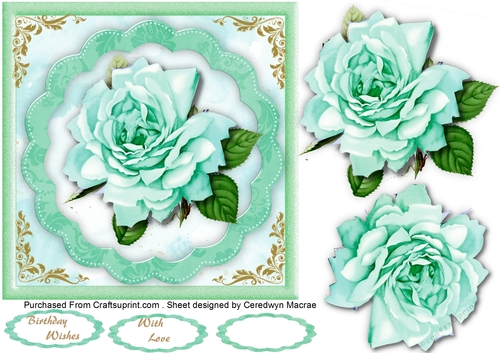Beautiful Aqua Rose on a scalloped mat 