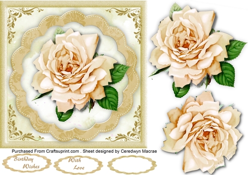Beautiful Buff Rose on a scalloped mat 