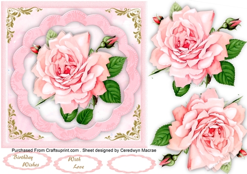 Beautiful Pink Rose on a scalloped mat 