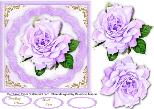 Beautiful Lilac Rose on a scalloped mat 