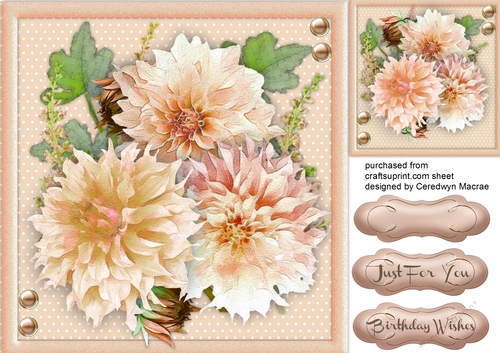 Stunning Bronze Dahlias