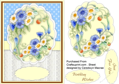 Beautiful Cornflowers and Daisys 