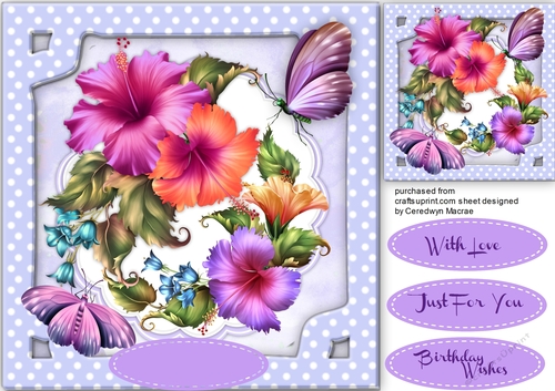 Beautiful Fashionably Florals and Butterflys 