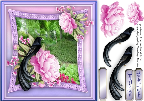 Beautiful Blackbird on a Peony 