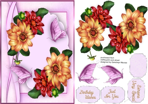 Beautiful Dahlias and Butterflys 