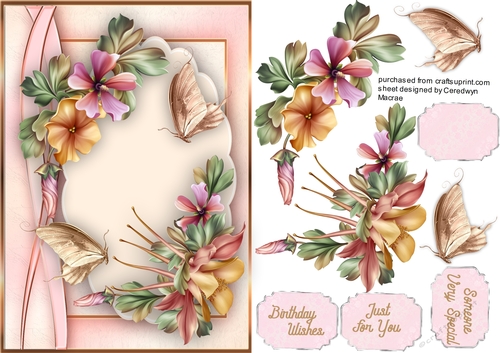 Beautiful Delafloret flowers  and Butterflys 