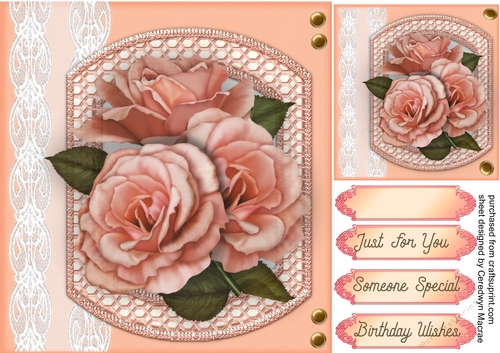 Beautiful Peach Roses on a Shaped Mat 