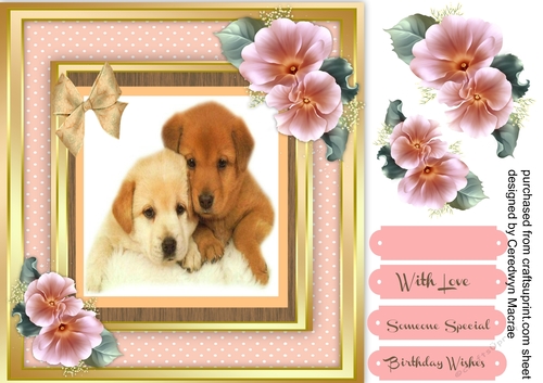 Beautiful Labradour Pups in a gold frame 