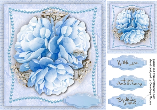 Beautiful Blue Peony Roses 