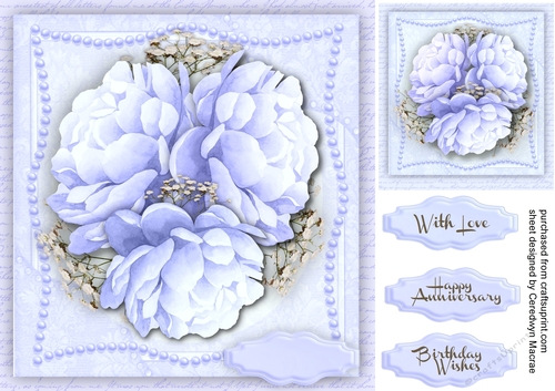 Beautiful Lilac Peony Roses 
