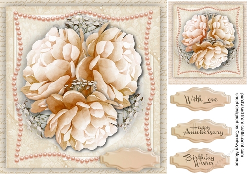 Beautiful Buff Peony Roses 