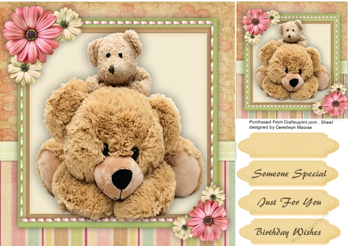 Beautiful Teddies in a Stitched Frame 