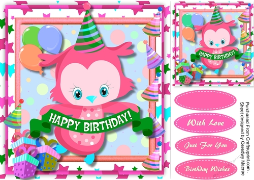 Cute Owl Birthday Girl