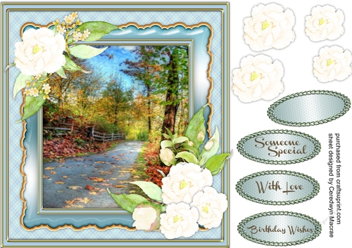 Beautiful White roses and Country scene 