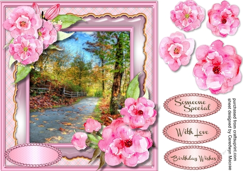 Beautiful Pink roses and Country scene 
