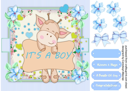 A Bouncing Baby Boy