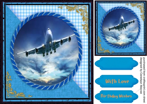 Flight in the Night Sky 