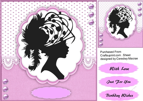 Beautiful Mavue  Silhouette Lady 
