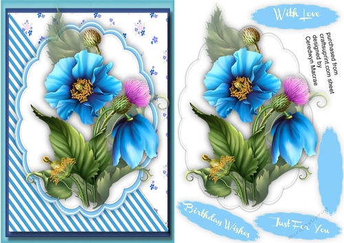 Beautiful Blue Poppys 