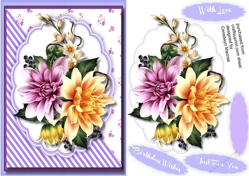 Beautiful Crean and Lilac Dahlias 