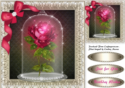 Pink Sparkle Rose in a Globe 
