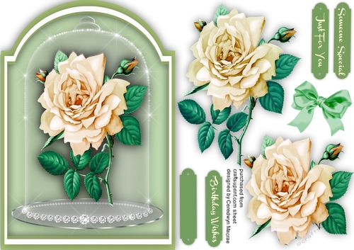 Crean Rose in a Sparkle Dome 