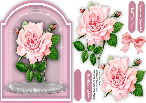 Pale Pink Roses in a Sparkle Dome 