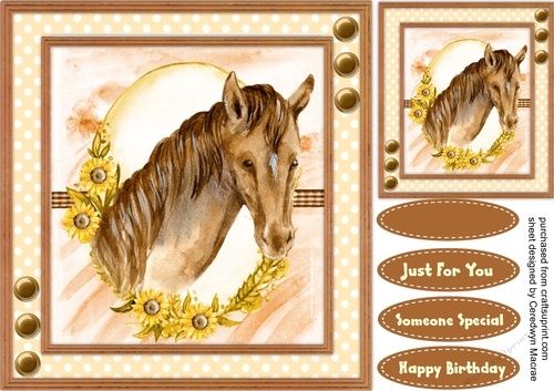 Beautiful Water Coloured Brown Horse