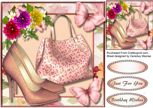 Bag Shoes and Butterflys 1