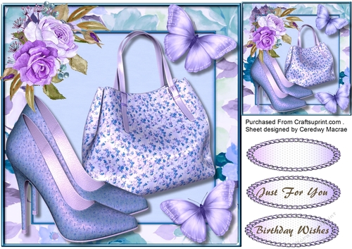 Bag Shoes and Butterflys 2