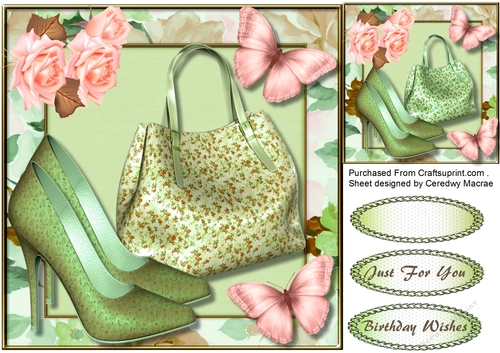 Bag Shoes and Butterflys   3