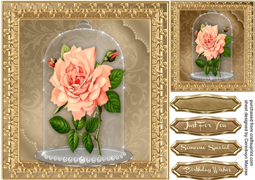 Beautiful Peach  Roses in a Sparkle Dome 