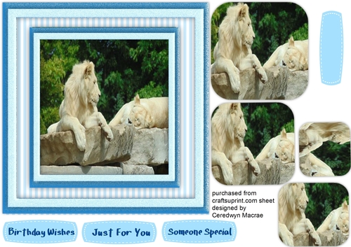 Beautifukl Lions at Rest( Pyramid)
