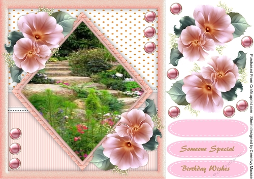 Steps in the Garden 1