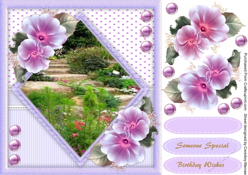 Steps in the Garden 2