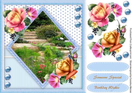 Steps in the Garden  4