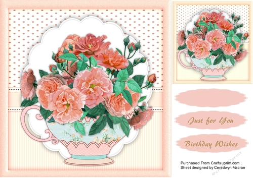 Peach roses in a Teacup 