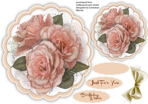 Beautiful Scalloped Posy of  Peach Roses 