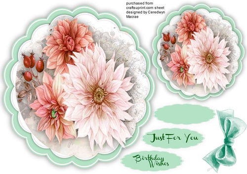 Beautiful Scalloped Posy of Pink Dahlias 