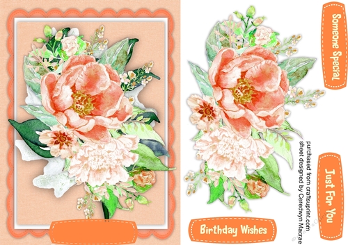 Beautiful  Roses on a Apricot Mat 