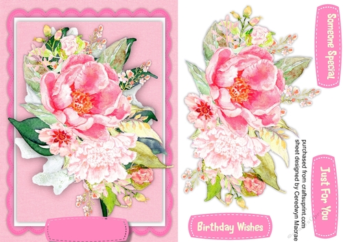 Beautiful  Roses on a Pink Mat 