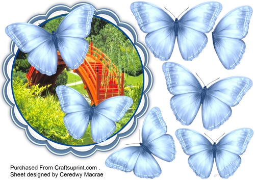 Beautiful Blue Butterflie on a scallopd mat 